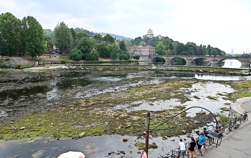 Seceta din Italia pune în pericol producția de parmezan. „Situația este critică și nu poate decât să se înrăutățească”