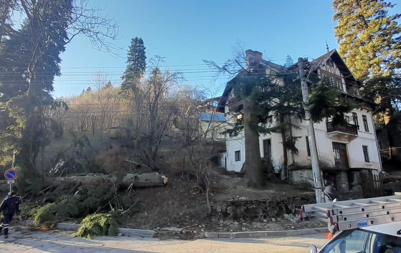 Zeci de gospodării au rămas fără curent electric în Sinaia, după ce vântul puternic a doborât stâlpii de electricitate