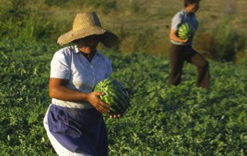 România competitivă: Asocierea fermierilor costă statul sute de milioane de euro