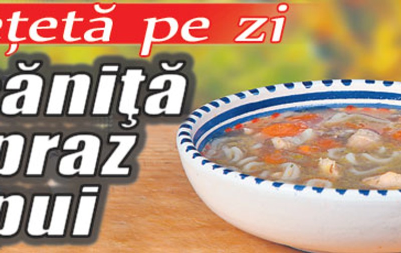 O reţetă pe zi - Tocăniţă de praz cu pui