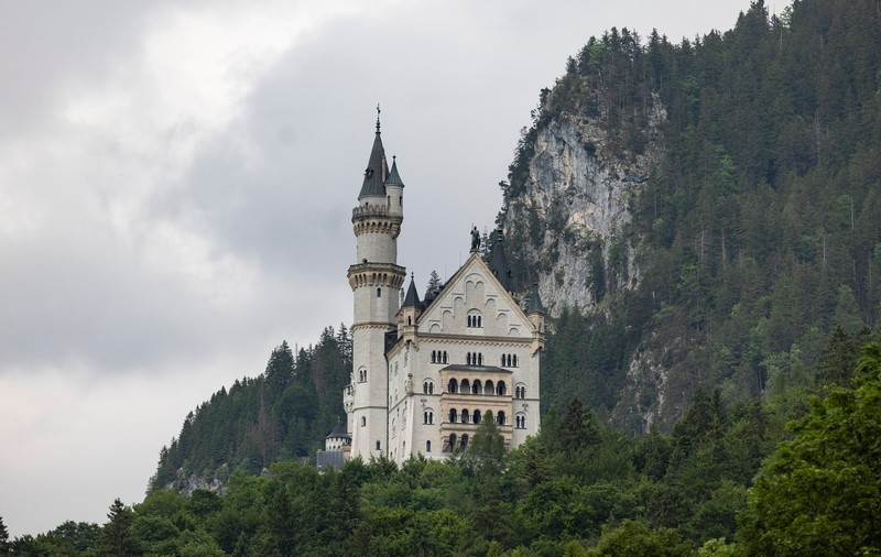 O femeie și-a închis câinele într-un dulap pentru că voia să viziteze un castel din Germania