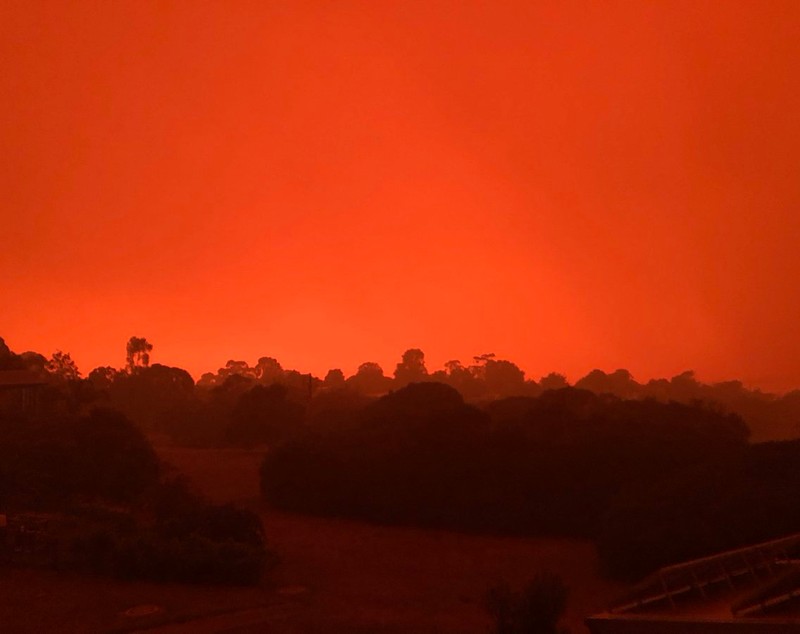 Scene apocaliptice în Australia. Mii de oameni s-au refugiat pe plajă și în mare pentru a se salva de flăcări