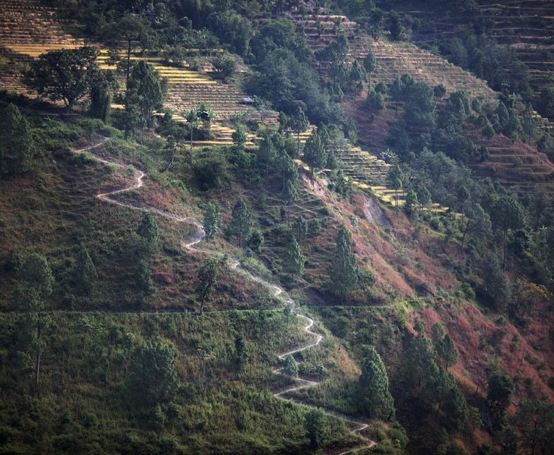 Arhiva foto