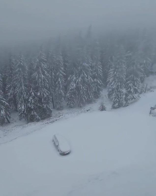 A nins pe Transalpina. Drumarii intervin cu utilaje şi dau cu material antiderapant | VIDEO