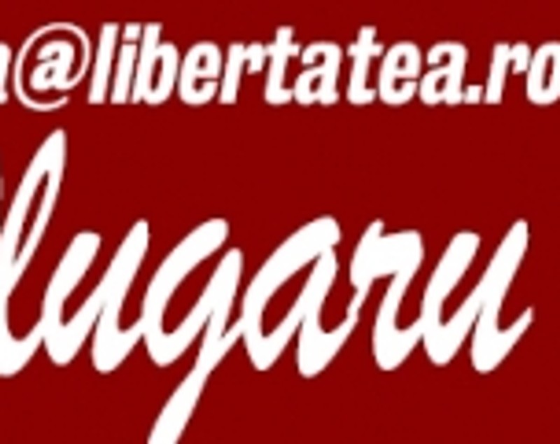 Mihai Costea, prins la pariuri! ^După dezvăluirile Libertatea&SportNews, "Nilă" a fost dat afară de la Voluntari! Cum a reacționat atacantul / VIDEO
