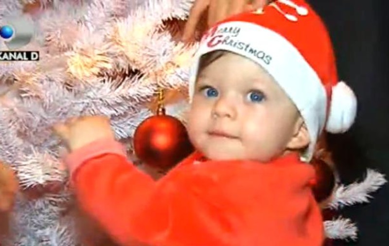 "Moşul" familiei Maxer a ajutat la împodobirea bradului! FOTO