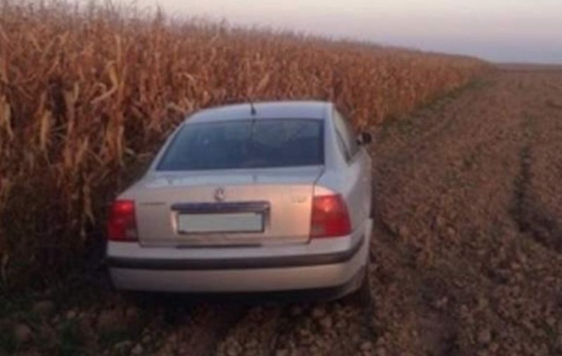 Un tânăr și-a abandonat maşina într-un lan de porumb, urmărit fiind de polițiști