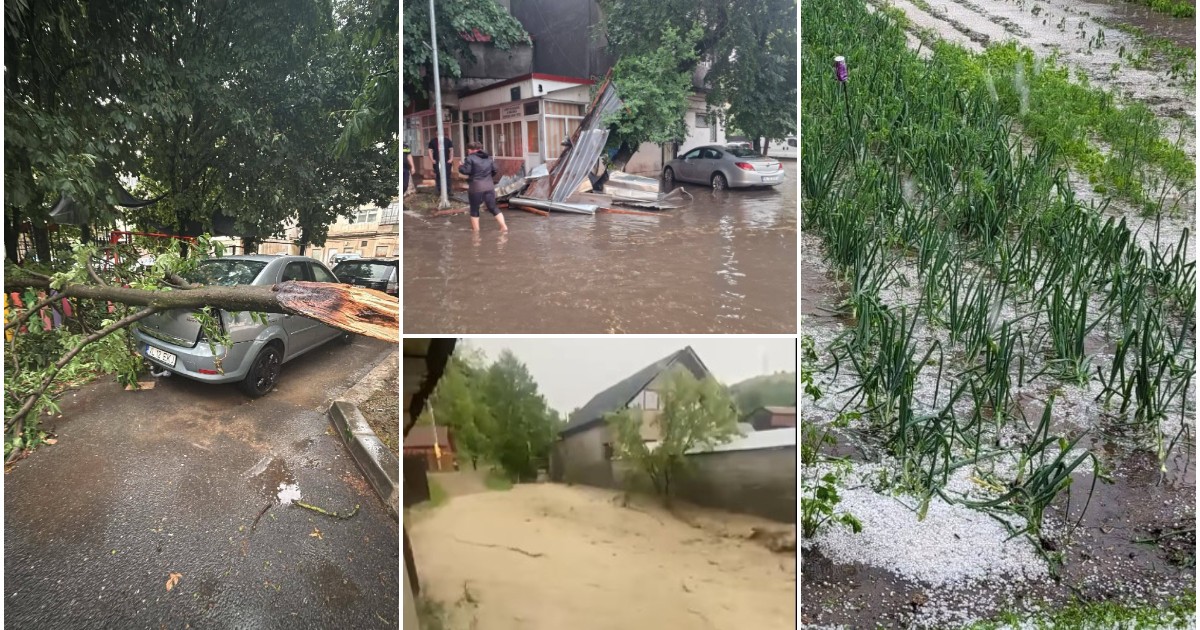 Colaj de patru fotografii ce ilustrează efectele unor fenomene meteo extreme: un copac prăbușit peste o mașină, străzi și curți inundate de șuvoaie de apă și o cultură agricolă grav afectată de o cădere masivă de grindină.