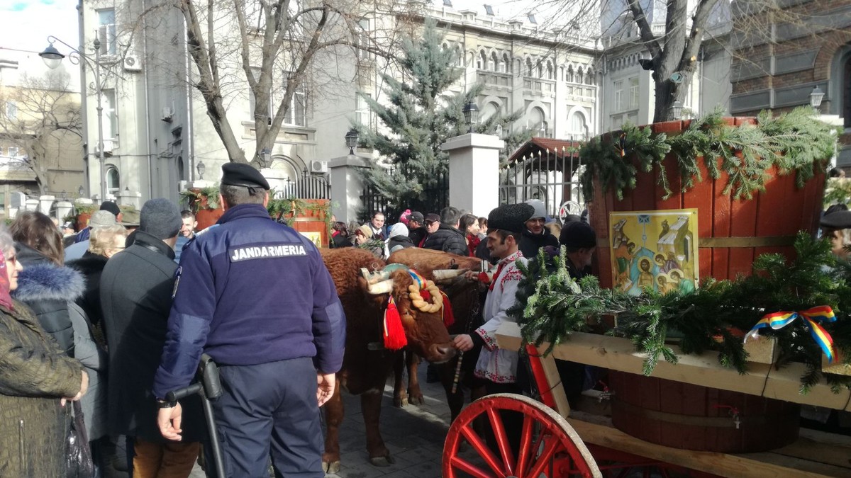 Peste 10.000 de oameni s-au călcat în picioare pentru agheasmă, la Constanța. În loc de gerul Bobotezei, o vreme de primăvară