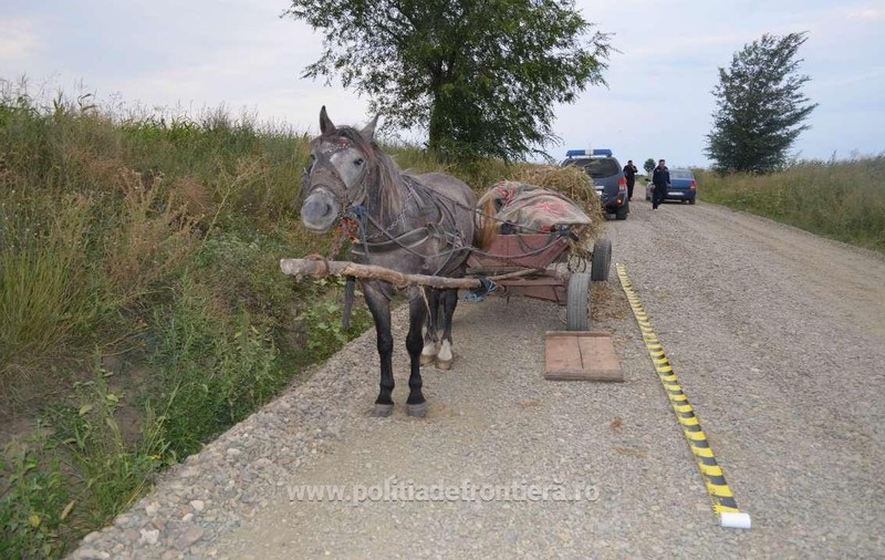 Un bărbat din Neamț a murit strivit sub o căruță cu paie când încerca să coboare o pantă de 45 de grade
