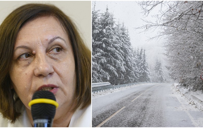 Elena Mateescu, director ANM, anunță frig, lapoviță și strat de zăpadă în unele zone. Când va ninge în București