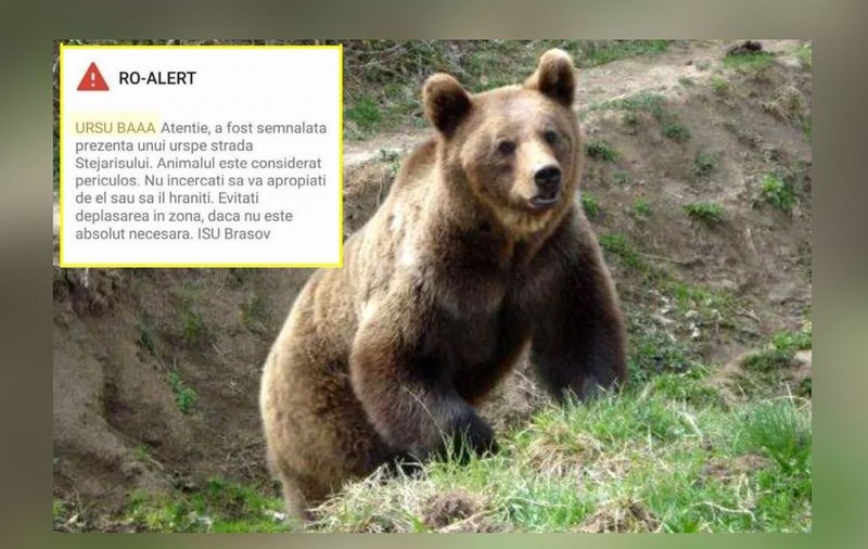 Cercetare disciplinară la ISU Brașov, după ce un mesaj RO-Alert a început cu avertismentul: „Ursu baaa”