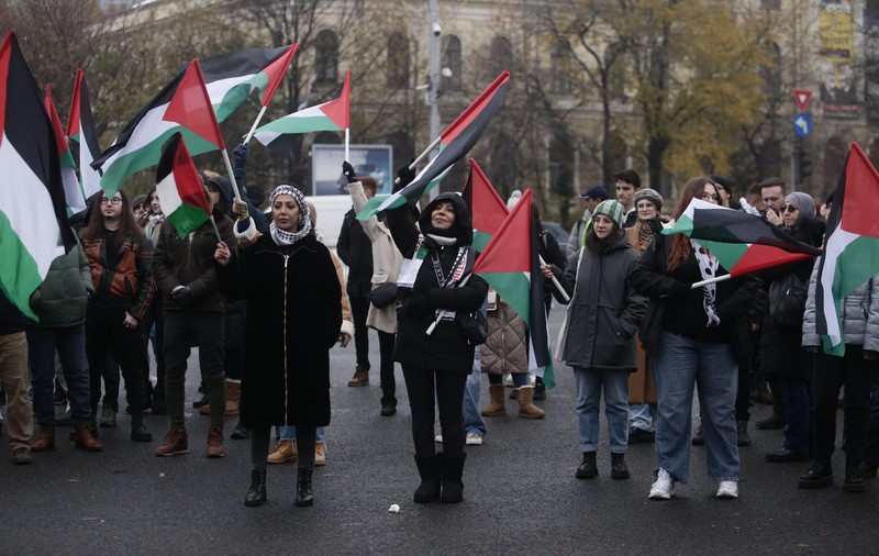 Duși la secția de poliție pentru un slogan. Participanții la mitingurile pro-Palestina acuză un abuz din partea forțelor de ordine