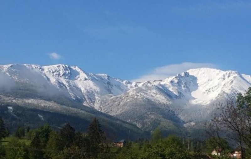 Stratul de zăpadă măsura dimineață 10 centimetri într-un oraș din România