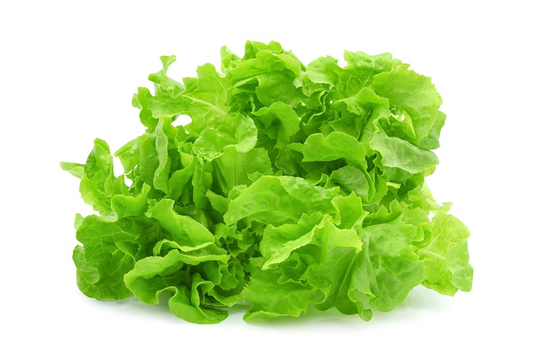 Salata verde - ce beneficii are și cum poate fi preparată. Rețete cu salată verde