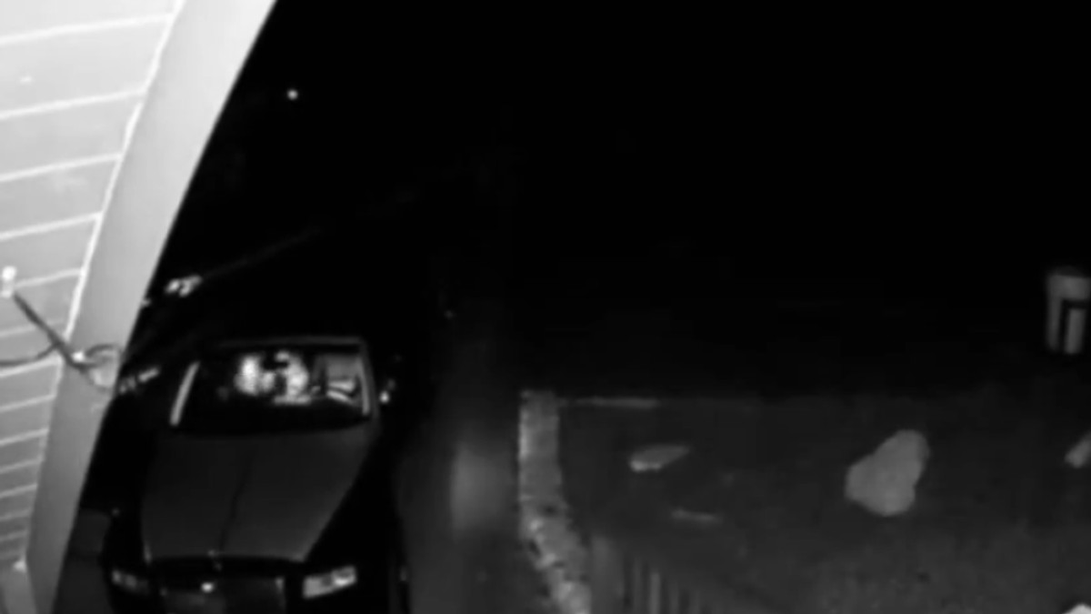 Imagine surprinsă în timp ce „ursul” distruge mașina Rolls-Royce Ghost din anul 2010.