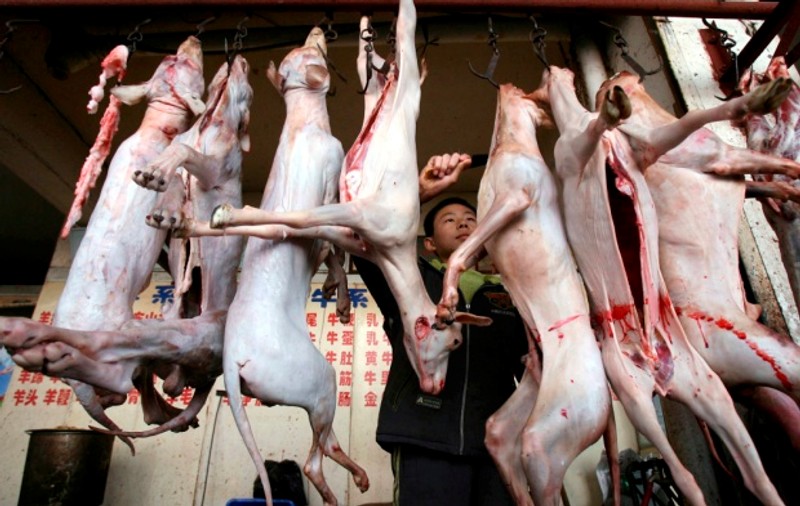 Vindea carne de câine restaurantelor din Moscova