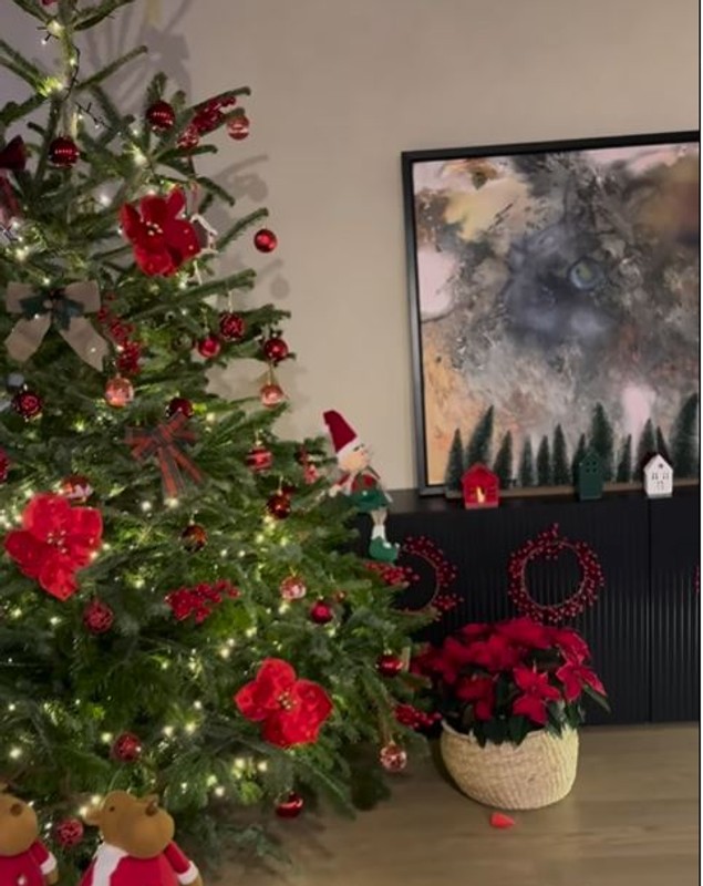 Cum arată casa Adelei Popescu și a lui Radu Vâlcan, după ce a fost decorată de Crăciun: „Am împodobit bradul”