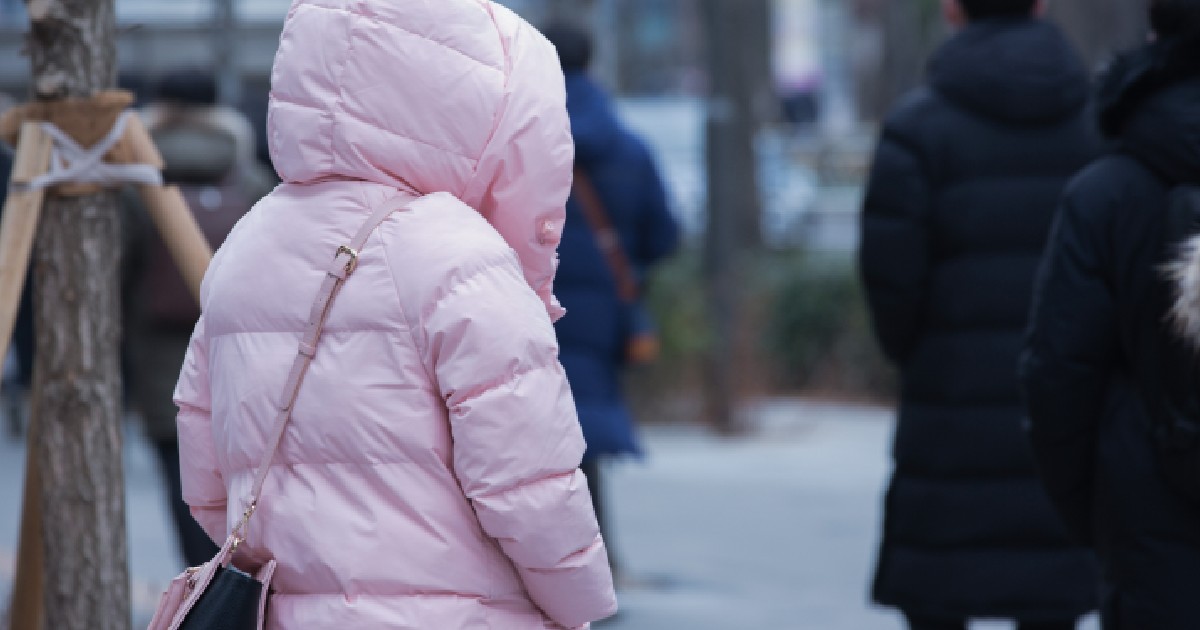 Imaginea surprinde din spate o persoană purtând o geacă de iarnă roz, voluminoasă, cu gluga trasă peste cap, în timp ce merge pe o stradă alături de alți trecători îmbrăcați gros, sugerând o zi friguroasă.
