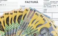 Lei românești pentru plata unei facturi