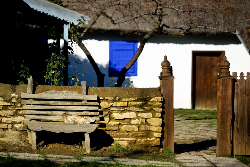 Arhiva foto