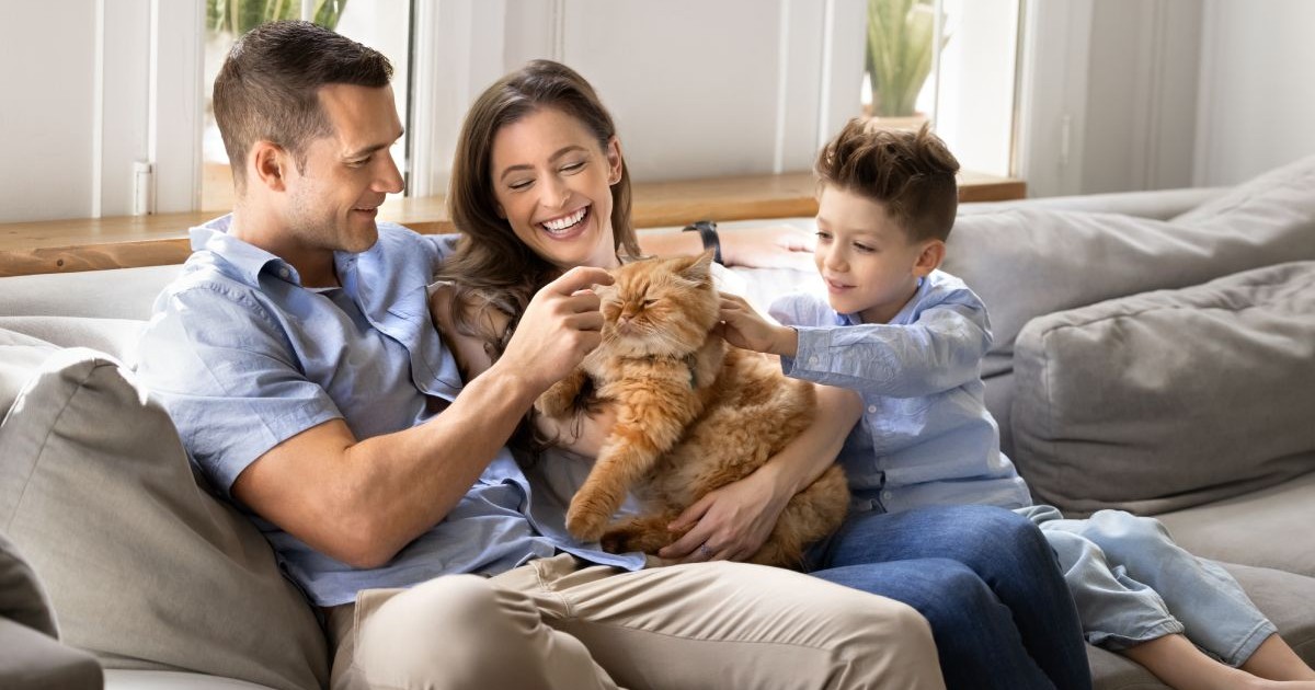 In imagine o familie formata din mama, tata si un gaietel, asezati pe canapea, cu o pisica portocalie in brate