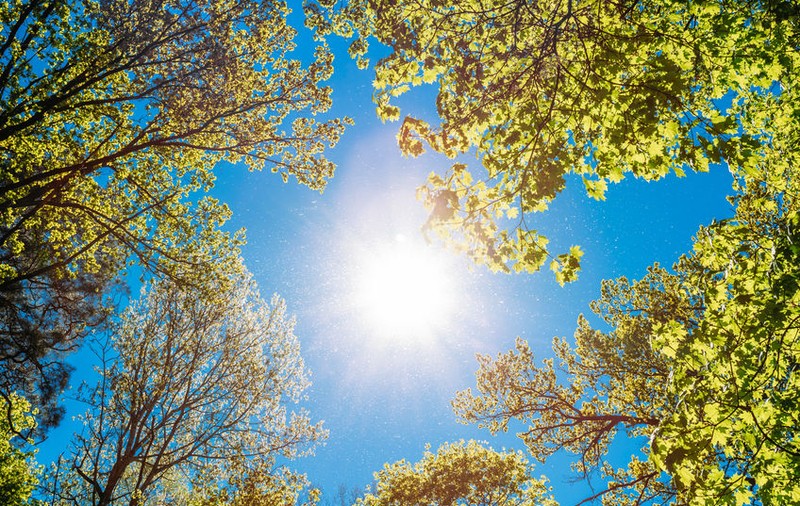 Prognoza meteo de miercuri, 26 iunie. Vremea continuă să se încălzească și disconfortul termic va fi accentuat