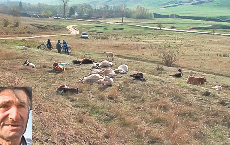 Masacru într-un sat din Vaslui, după o ceartă între doi localnici. I-a otrăvit caprele vecinului