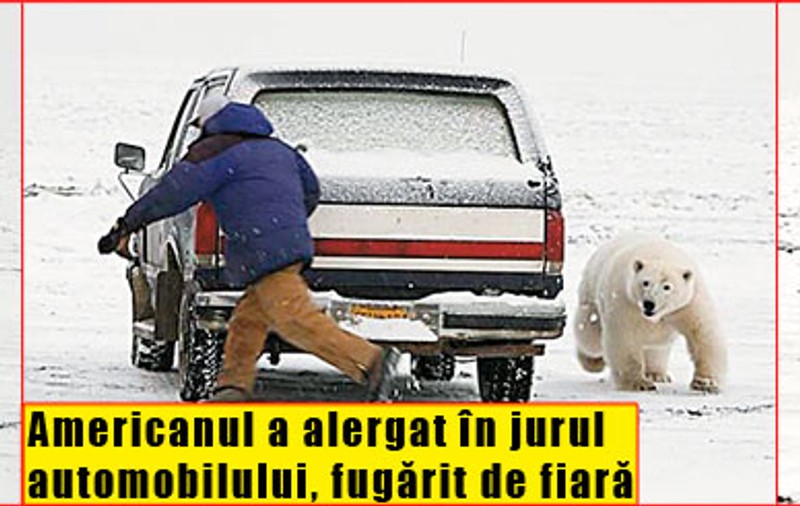 L-a fugărit ursul!