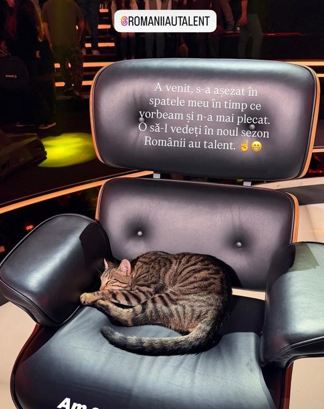 Andi Moisescu și pisica de la Românii au talent