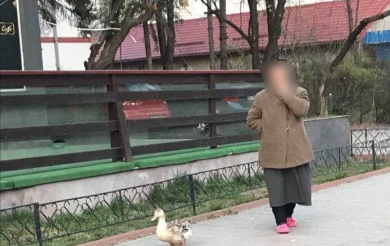 Imagini inedite în Botoșani. O bătrânică și-a scos rața la plimbare