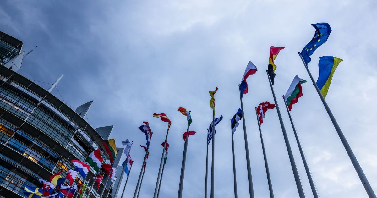 18 decembrie 2024, Franța, Strassburg: Steaguri ale Uniunii Europene și ale statelor sale membre arborează în fața clădirii Parlamentului European