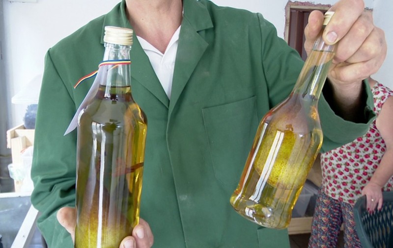 Palinca cu pară în sticlă. Un buzoian a explicat secretul introducerii fructului
