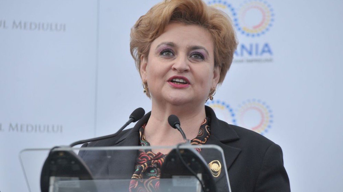 O nouă taxă auto, gata până la sfârşitul anului 2018. Grațiela Gavrilescu, în timpul unui discurs