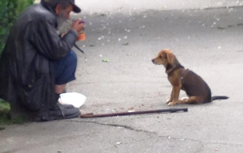 IMAGINI EMOŢIONANTE în Deva! Un om al străzii împarte mâncarea cu un câine