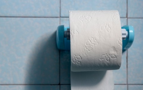O rola de hârtie igienică atârnată în baie