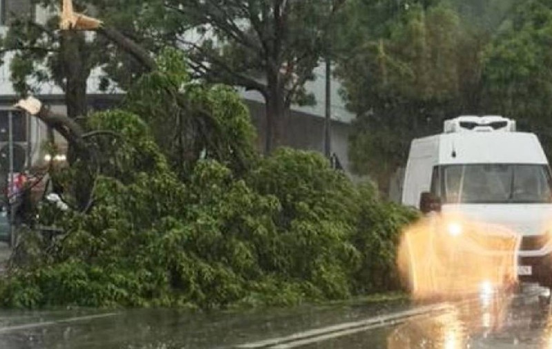 Copac rupt în două și aruncat în fața mașinilor de furtuna din Focșani. Rafalele de până la 70 km pe oră au smuls și un acoperiș de bloc