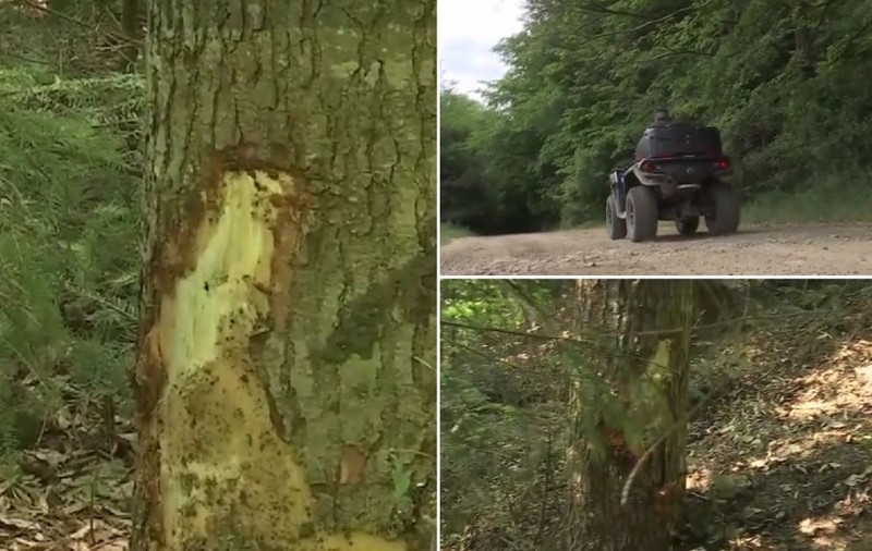 O femeie a murit, iar alta a fost grav rănită, după ce au intrat cu ATV-ul într-un copac, la Gura Humorului. Cele două erau în team-building