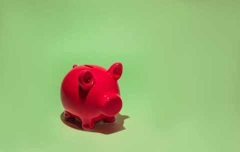 Legea conturilor de economii și investiții pentru pensie a trecut de Camera Deputaților