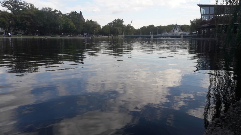 Arhiva foto