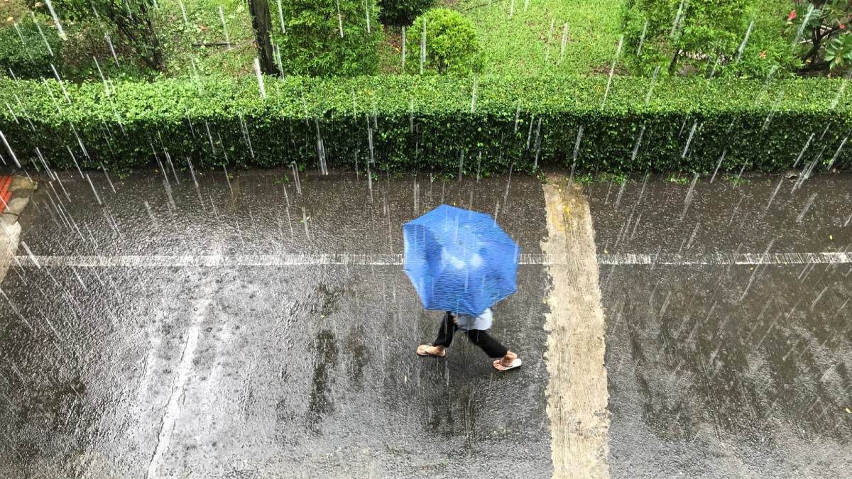 O femeie merge printr-o parcare cu o umbrelă albastră în mână, în timp ce afară plouă torențial. Lângă este și un spațiu verde.