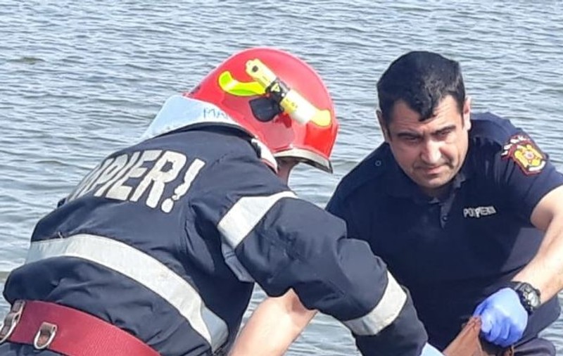 O bătrână dispărută de două săptămâni a fost găsită moartă în râul Olt