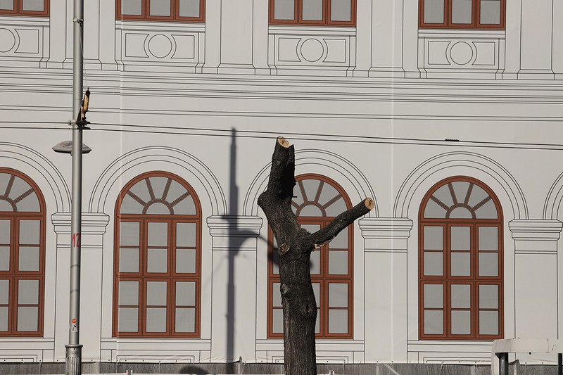 Arhiva foto