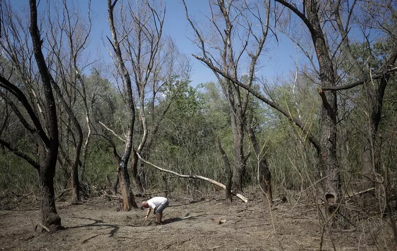 O nouă dronă a căzut pe teritoriul României, la Grindu, anunță MApN. Armata a găsit-o după atacul de aseară al Rusiei asupra regiunii Odesa. „Crater de 1,5 metri adâncime”