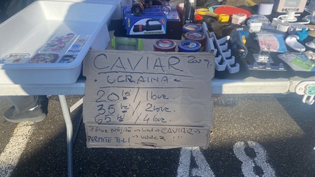 Arhiva foto