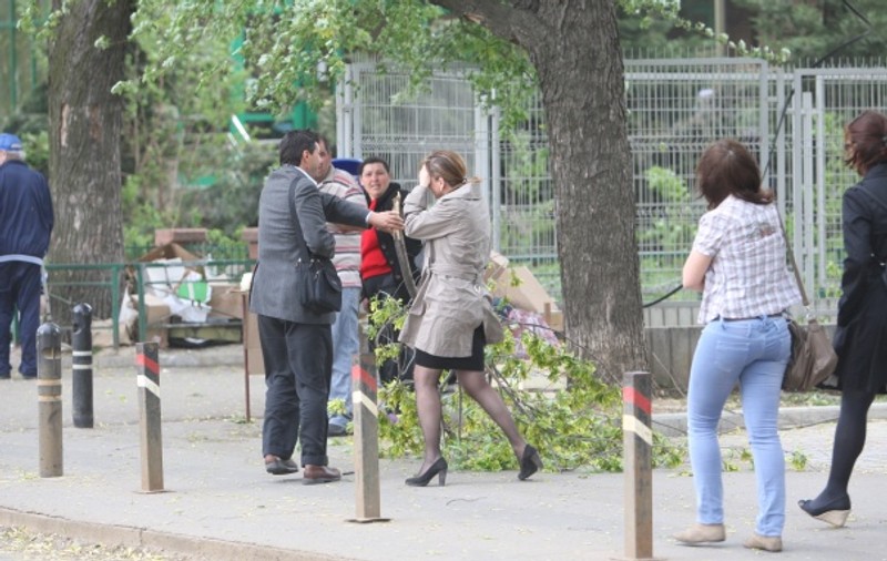 Din cauza VIJELIEI, o creangă s-a rupt şi a căzut în capul unei femei |FOTO