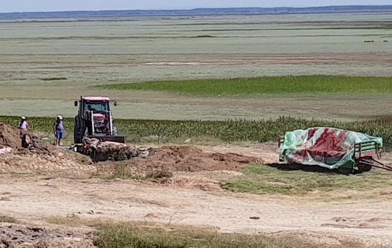 IMAGINI CARE VĂ POT AFECTA EMOŢIONAL | În Brăila, porcii sunt îngropaţi de vii, iar pesta africană "izvorăşte" din pământ | VIDEO