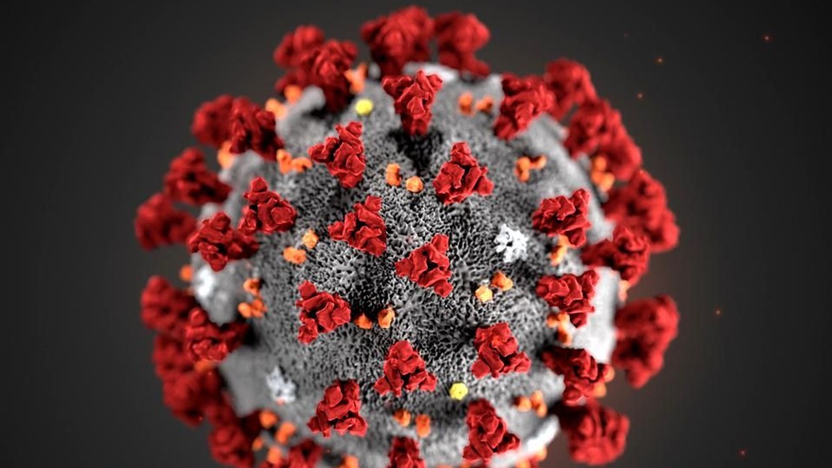 coronavirus