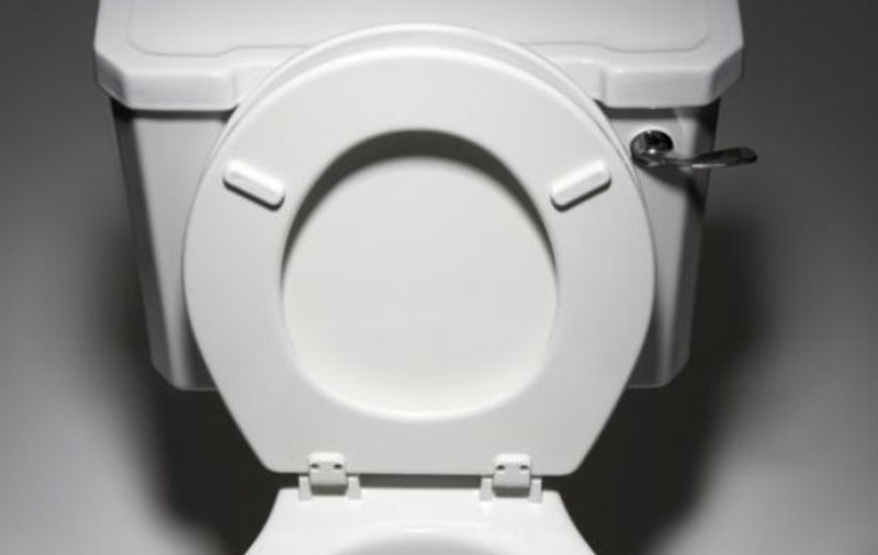 Cum arată toaletă care se vinde cu 100,000 de dolari. Tu ai folosi-o? | FOTO