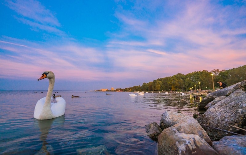 Lacul Balaton poate seca de tot până în 2050, avertizează experții. Nivelul apei din „Marea Ungariei” a atins un minim istoric